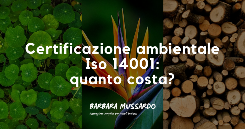 certificazione ambientale iso 14001